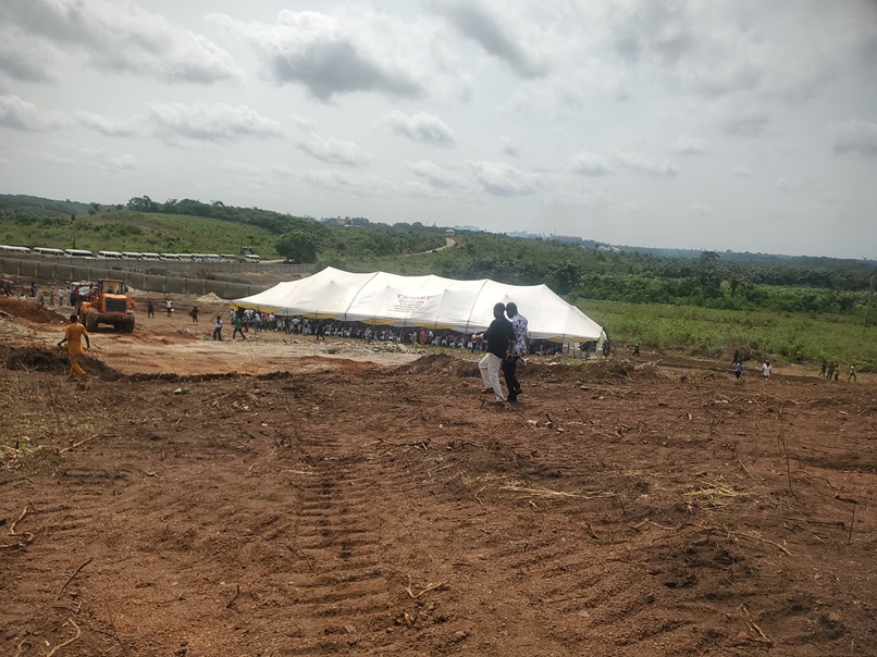 Government Allocation